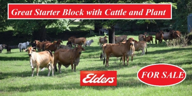 Great Starter Block with Cattle and Plant