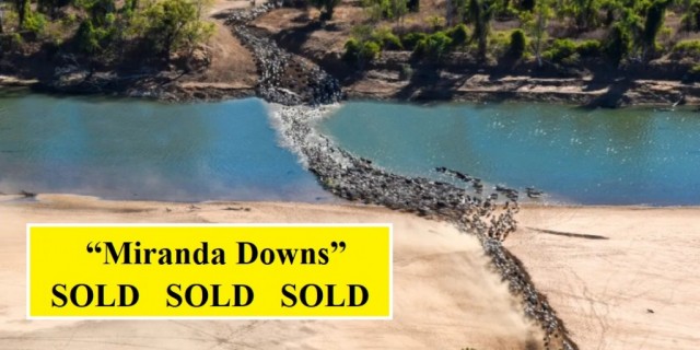 “Miranda Downs”  SOLD 