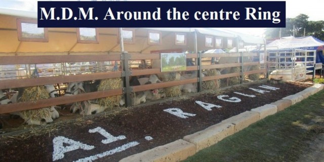  Around the centre Ring
