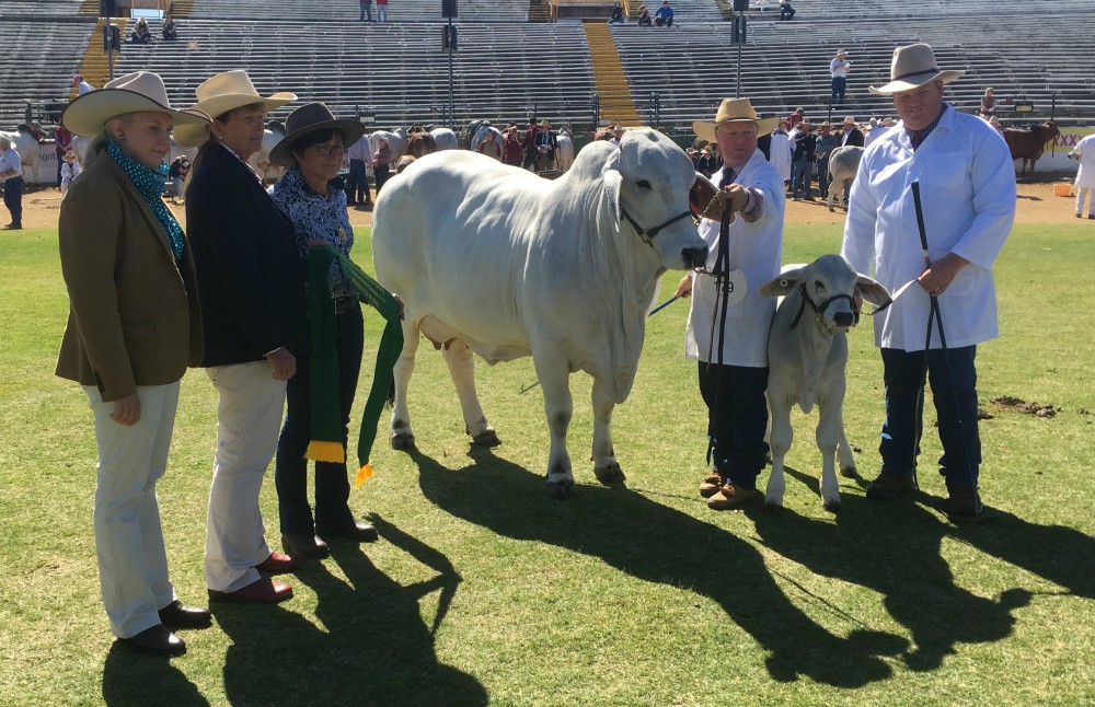 M.D.M.  EKKA WRAP UP