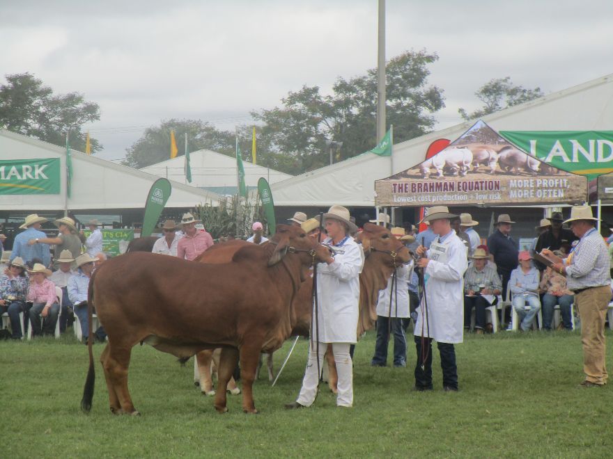  Around the centre Ring