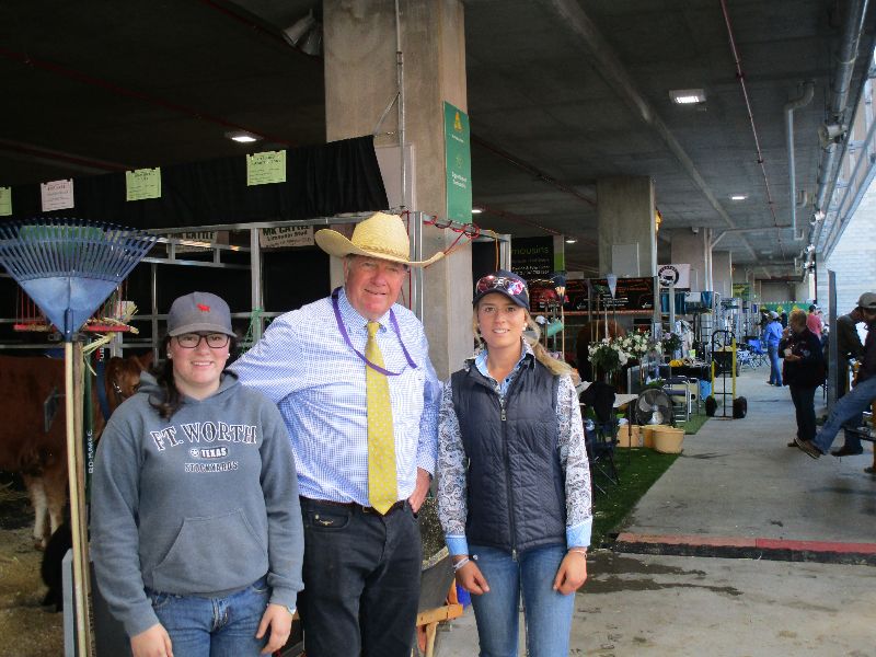 EKKA Led Steers 