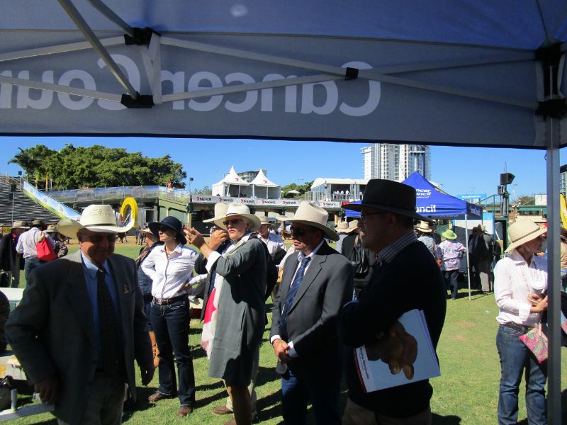 M.D.M.  EKKA WRAP UP