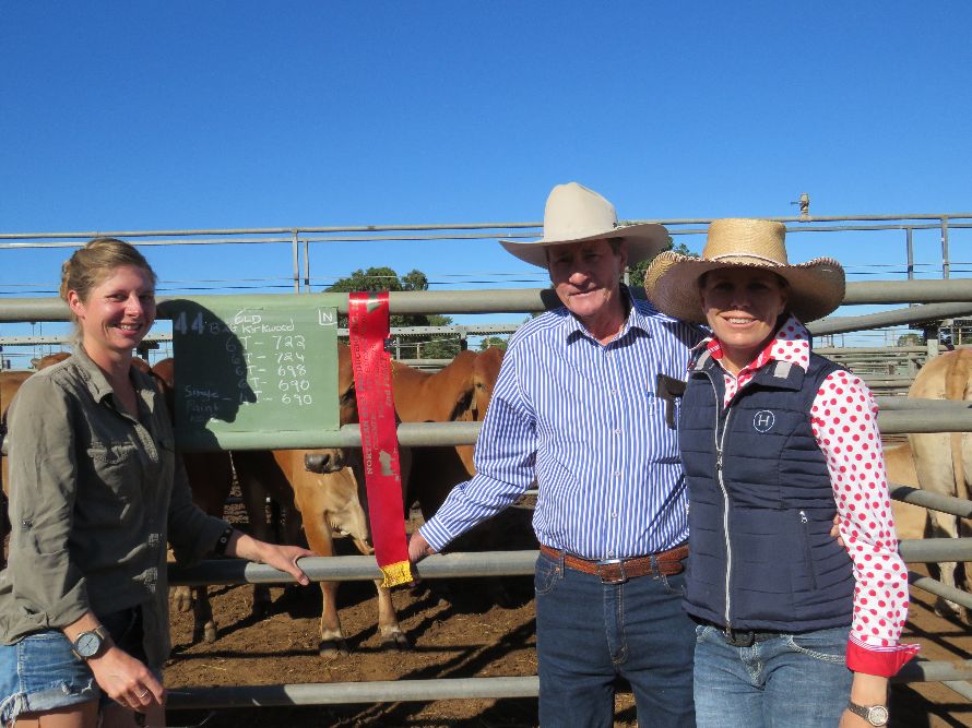 Northern Beef Producers Commercial Cattle Sale 