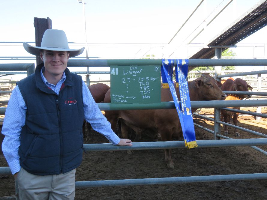 Northern Beef Producers Commercial Cattle Sale 