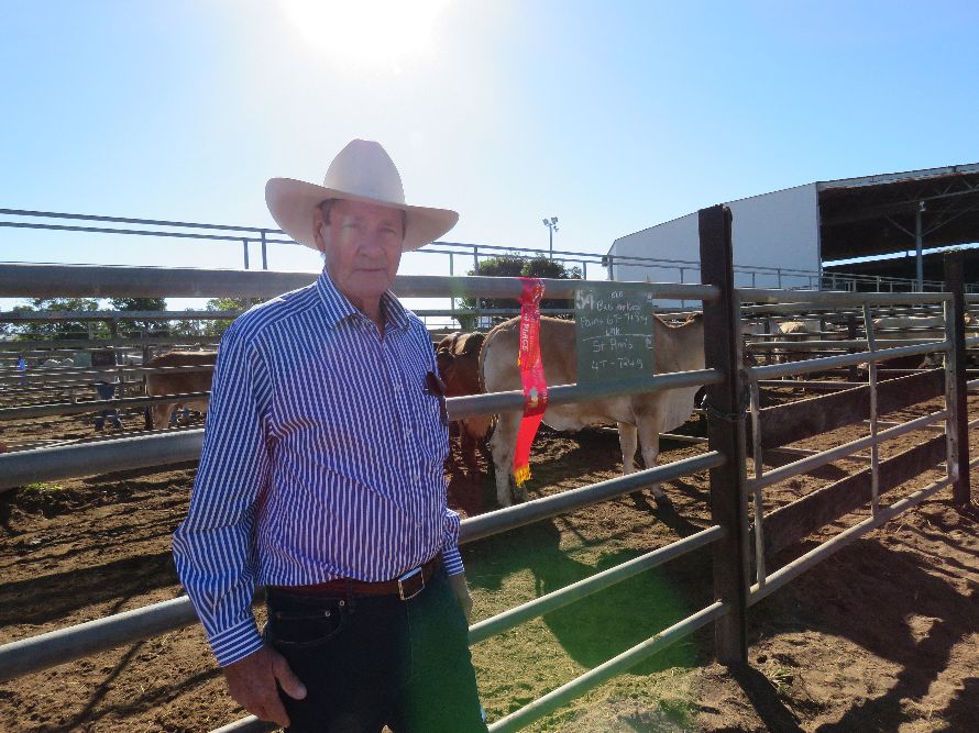 Northern Beef Producers Commercial Cattle Sale 