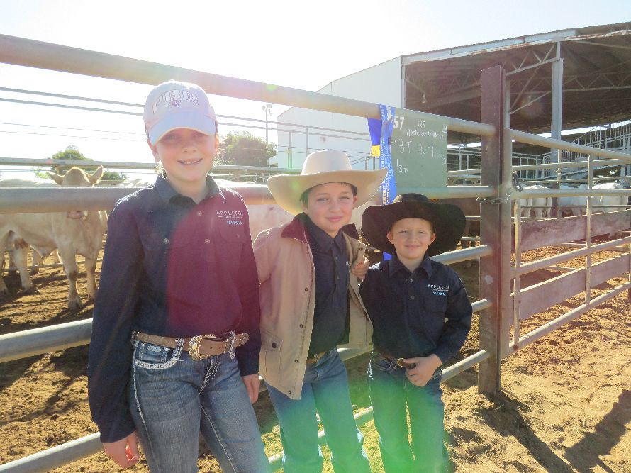 Northern Beef Producers Commercial Cattle Sale 