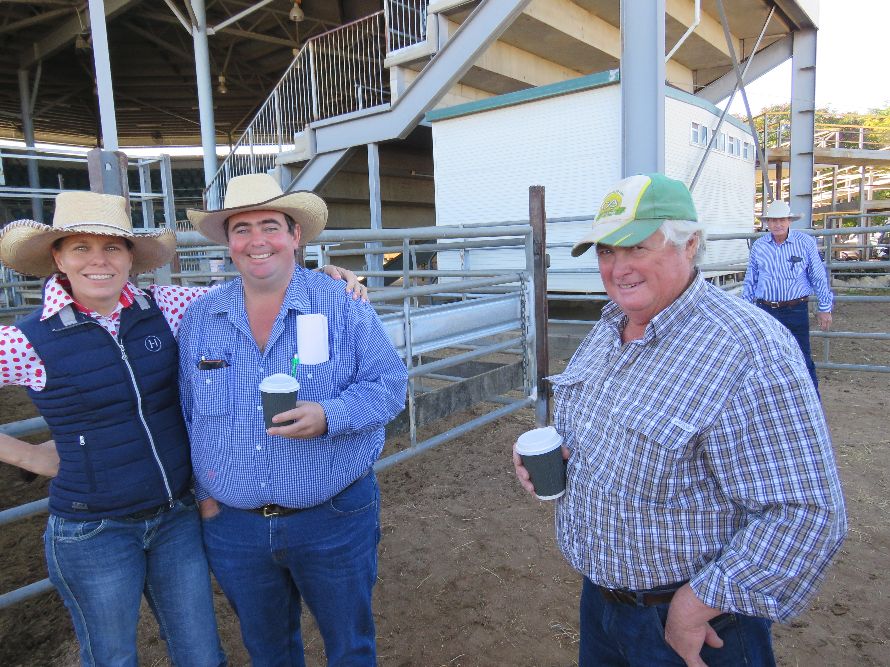 Northern Beef Producers Commercial Cattle Sale 