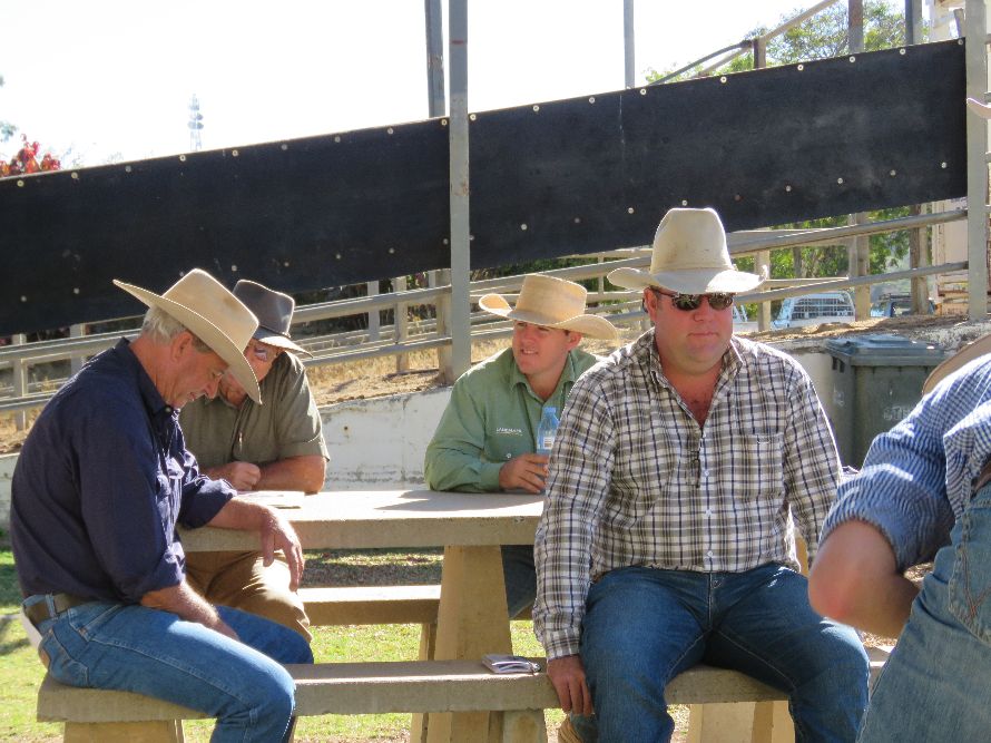 Northern Beef Producers Commercial Cattle Sale 