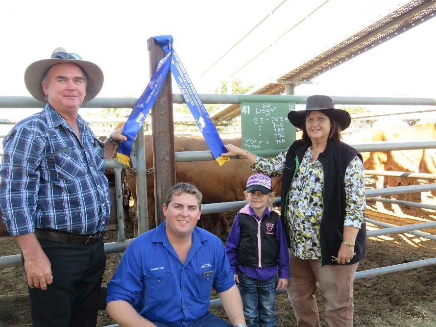Northern Beef Producers Commercial Cattle Sale 