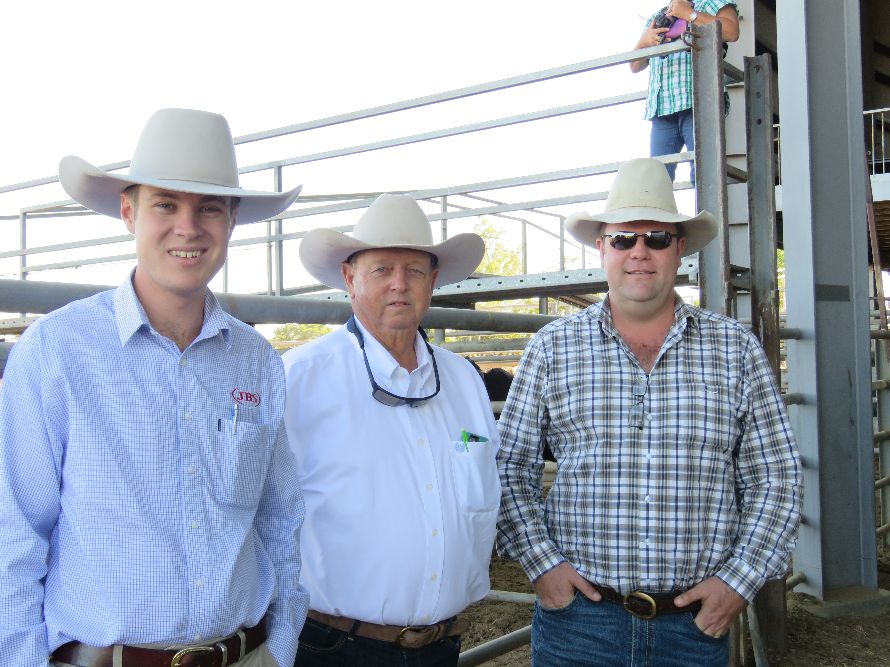 Northern Beef Producers Commercial Cattle Sale 