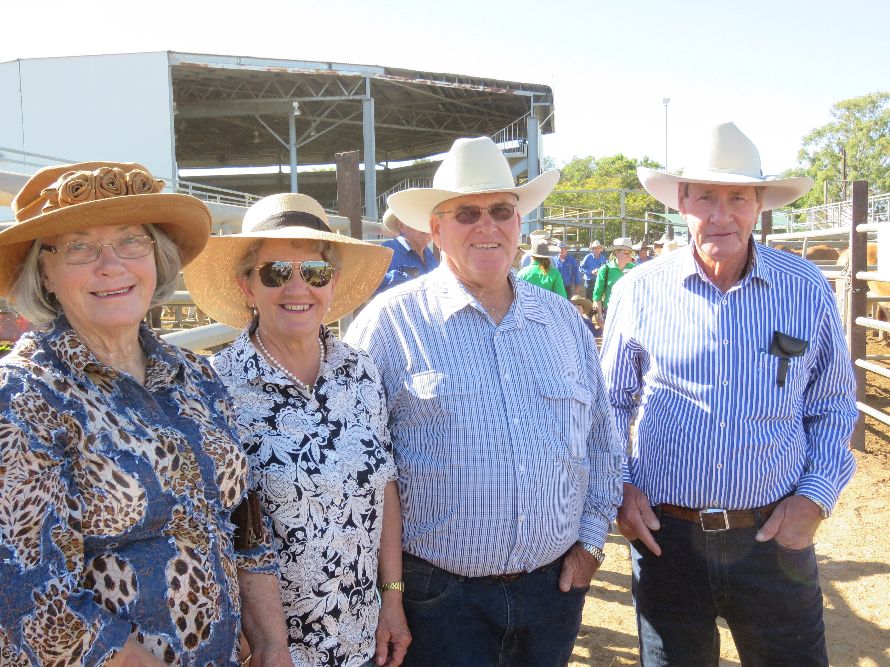 Northern Beef Producers Commercial Cattle Sale 