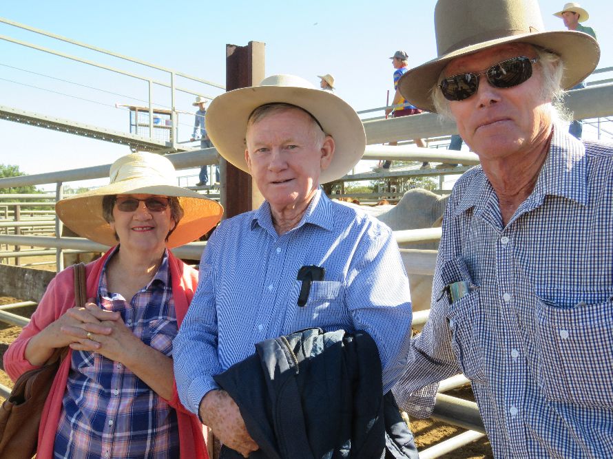 Northern Beef Producers Commercial Cattle Sale 