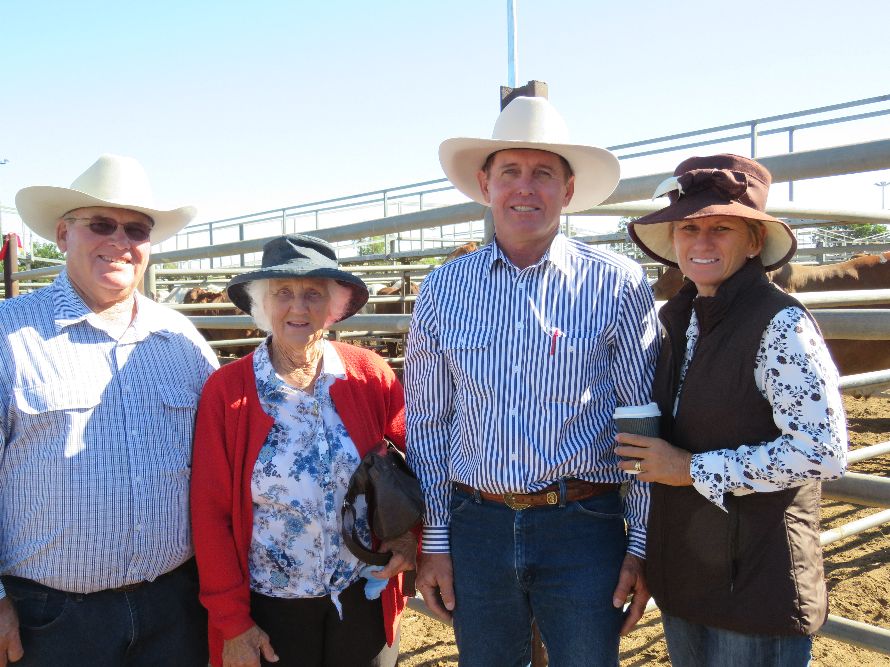 Northern Beef Producers Commercial Cattle Sale 