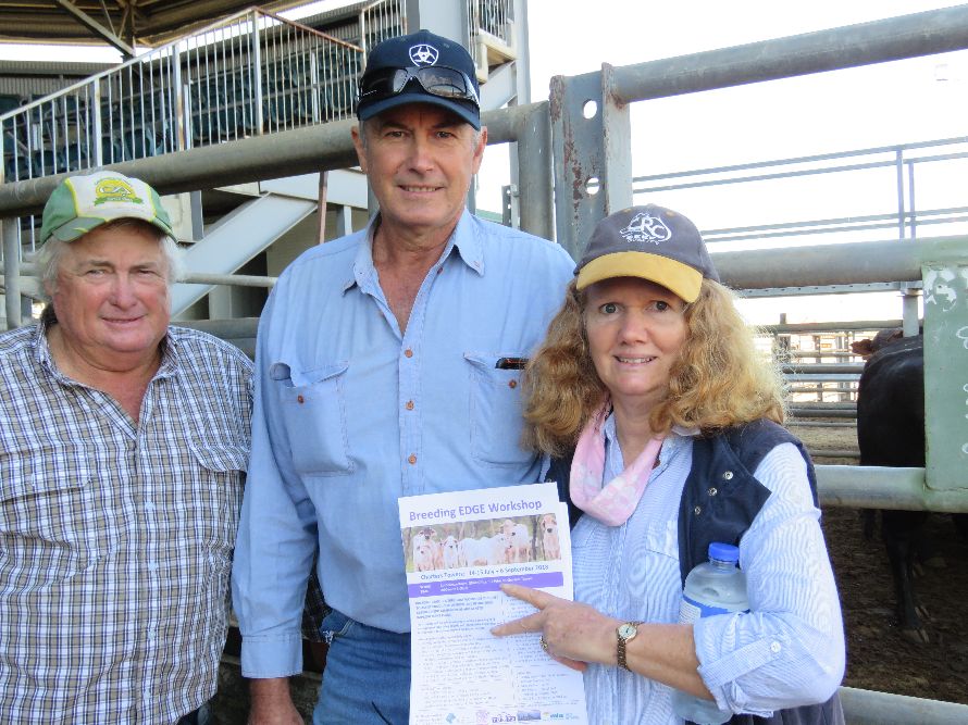Northern Beef Producers Commercial Cattle Sale 