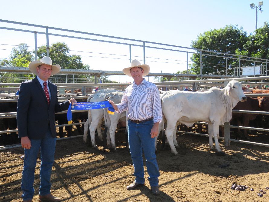 Northern Beef Producers Commercial Cattle Sale 