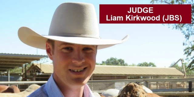 Northern Beef Producers Commercial Cattle Sale 
