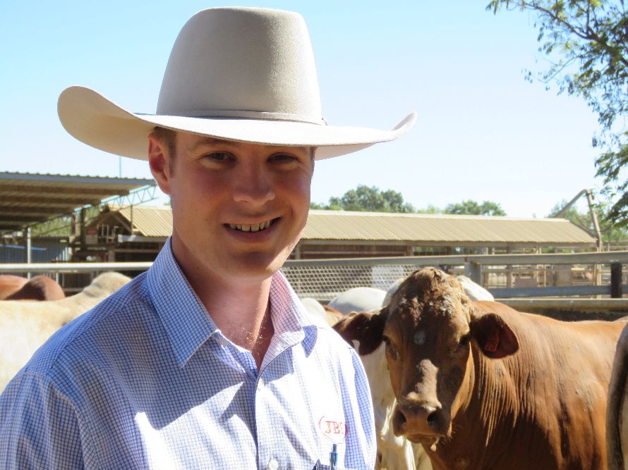 Northern Beef Producers Commercial Cattle Sale 