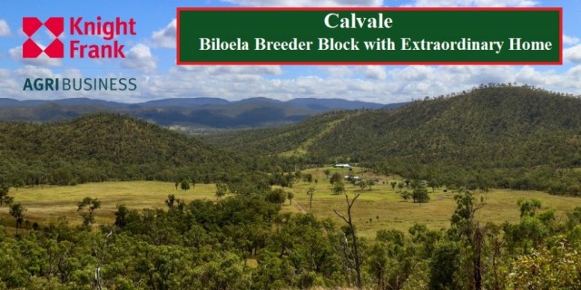 Calvale  ( Biloela) For Sale