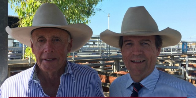 DAY ONE NATIONAL DROUGHTMASTER SALE