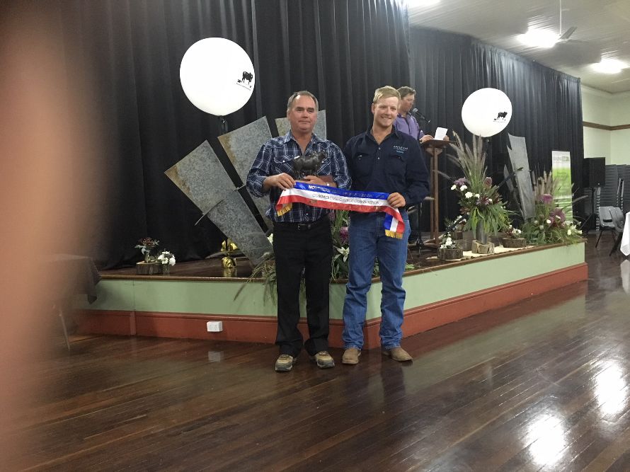 Northern Beef Producers Commercial Cattle Sale 