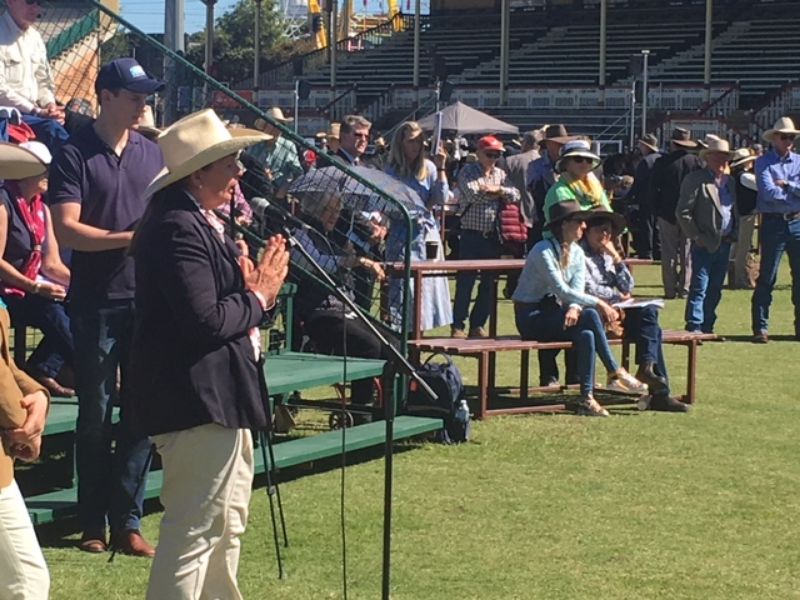 M.D.M.  EKKA WRAP UP
