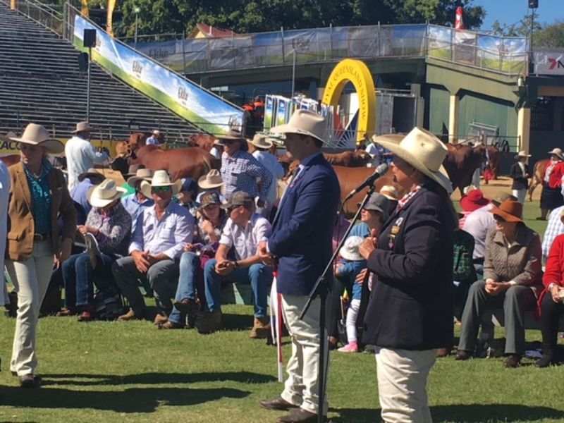 M.D.M.  EKKA WRAP UP