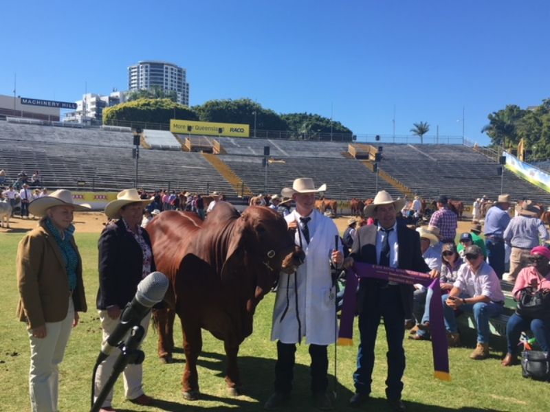 M.D.M.  EKKA WRAP UP