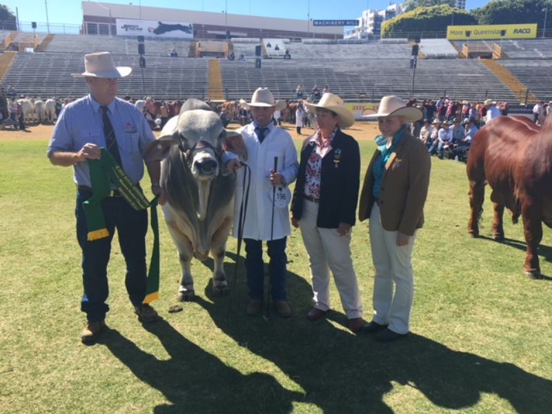 M.D.M.  EKKA WRAP UP