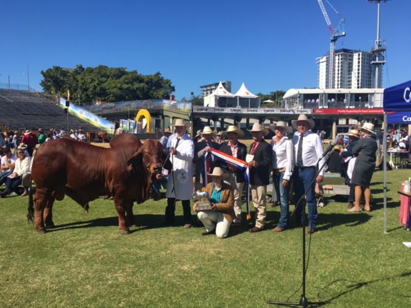 M.D.M.  EKKA WRAP UP