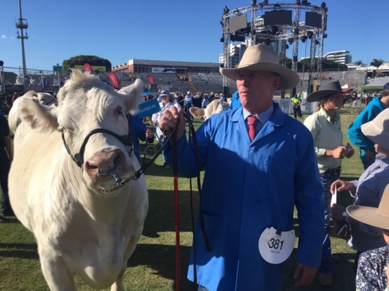 M.D.M.  EKKA WRAP UP
