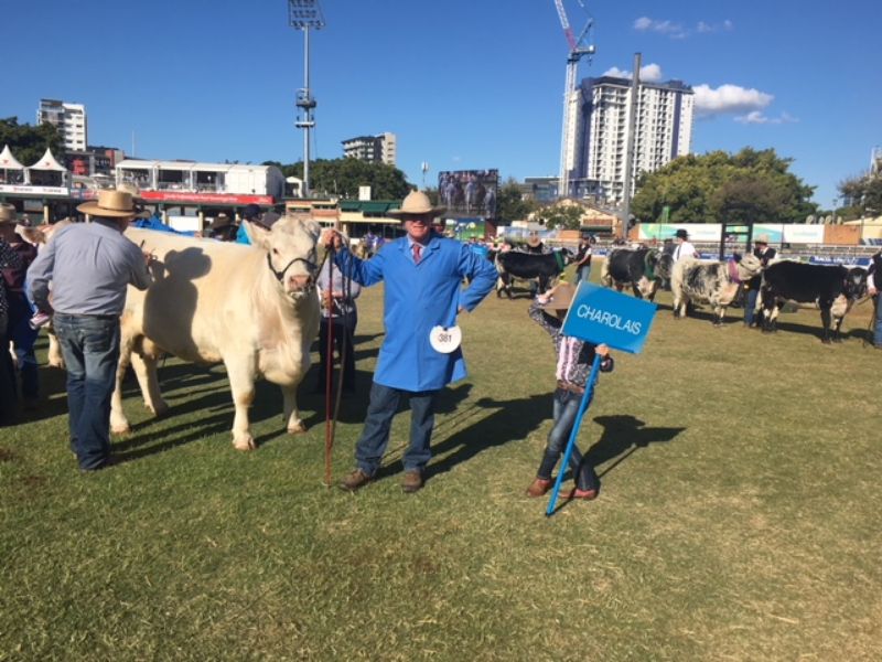 M.D.M.  EKKA WRAP UP