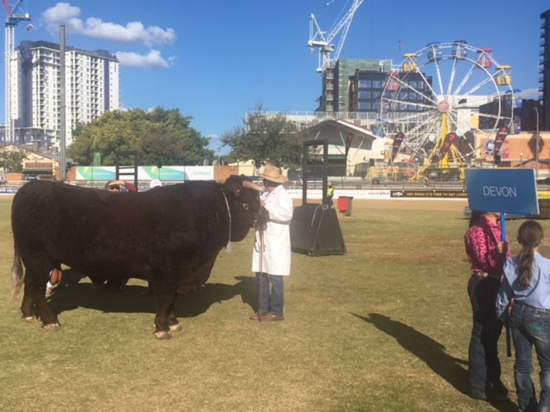 M.D.M.  EKKA WRAP UP