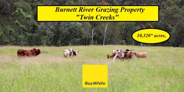 Twin Creeks