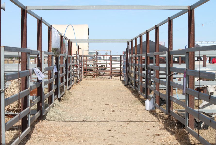 Richmond Field Days   