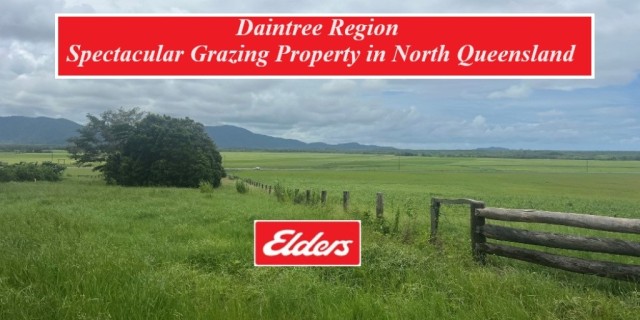 Daintree Region