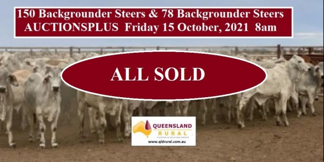 150 Backgrounder Steers & 78 Backgrounder Steers