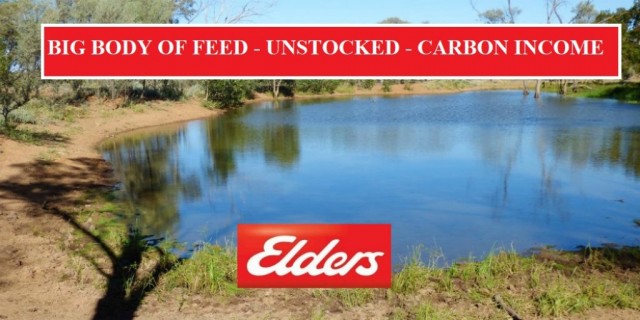 BIG BODY OF FEED - UNSTOCKED - CARBON INCOME