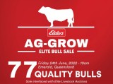 AG-GROW ELITE BULL SALE 2022