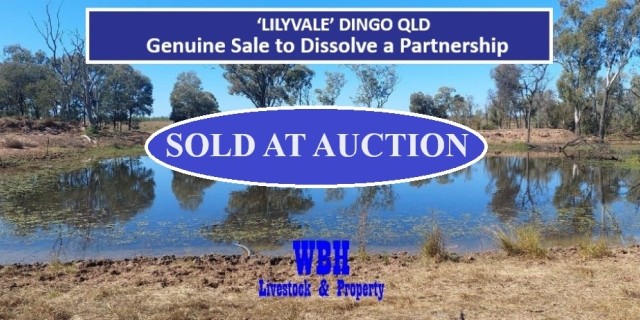 ‘LILYVALE’ DINGO QLD 