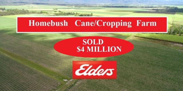 Homebush Cane/Cropping Farm