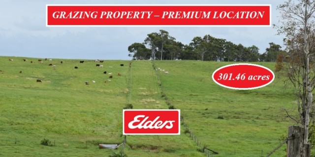 GRAZING PROPERTY 