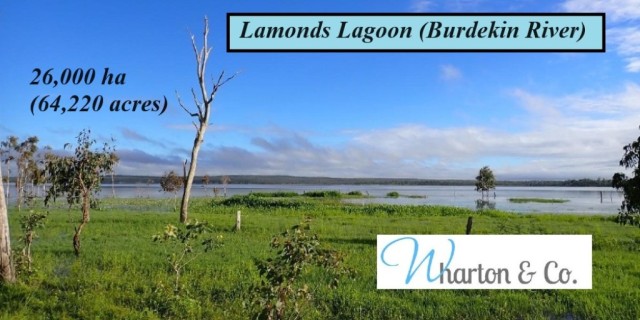 Lamonds Lagoon (Burdekin River)