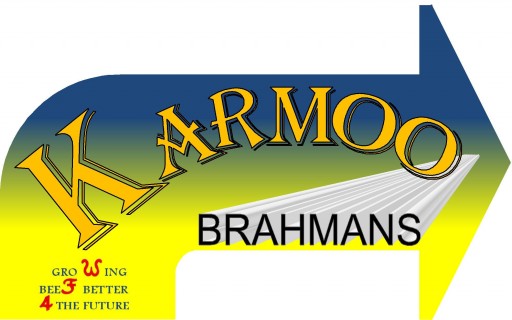 Karmoo Brahmans 