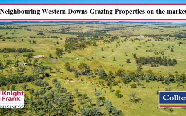3 Neighbouring Western Downs Grazing Properties on the market.