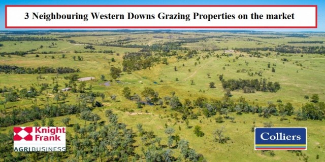 3 Neighbouring Western Downs Grazing Properties on the market.