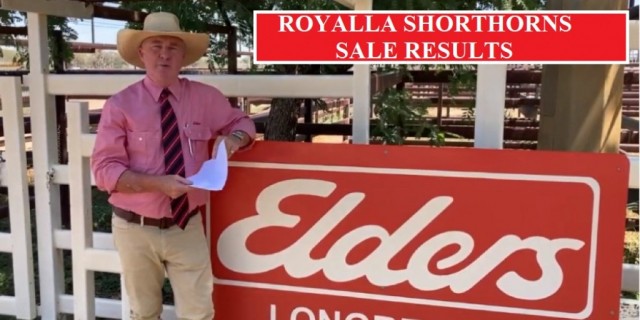 ROYALLA SHORTHORNS  RESULTS 