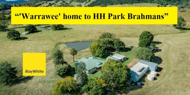 “'Warrawee' home to HH Park Brahmans” 