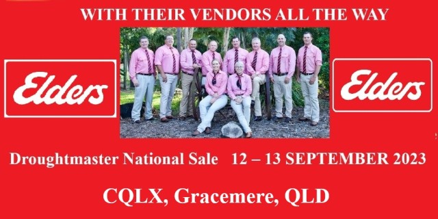 Elders Vendors Droughtmaster National Sale 2023