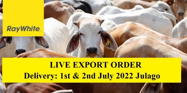 LIVE EXPORT ORDER